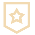 Shield-Star-Police-Badge--Streamline-Sharp